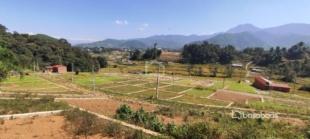 Chapagaun Bajrabarai Planning Land : Land for Sale in Chapagaun, Lalitpur-image-1