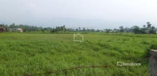 High Value Land Sale at Bijaya Nagar : Land for Sale in Dibyanagar, Chitwan-image-1
