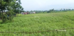 High Value Land Sale at Bijaya Nagar : Land for Sale in Dibyanagar, Chitwan-image-3