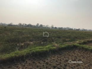 Land for Sale in Narayangadh, Bharatpur-image-1