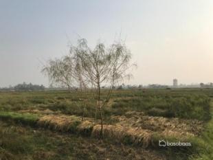 Land for Sale in Narayangadh, Bharatpur-image-5