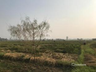 Land for Sale in Narayangadh, Bharatpur-image-4