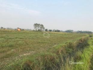 Land for Sale in Narayangadh, Bharatpur-image-3