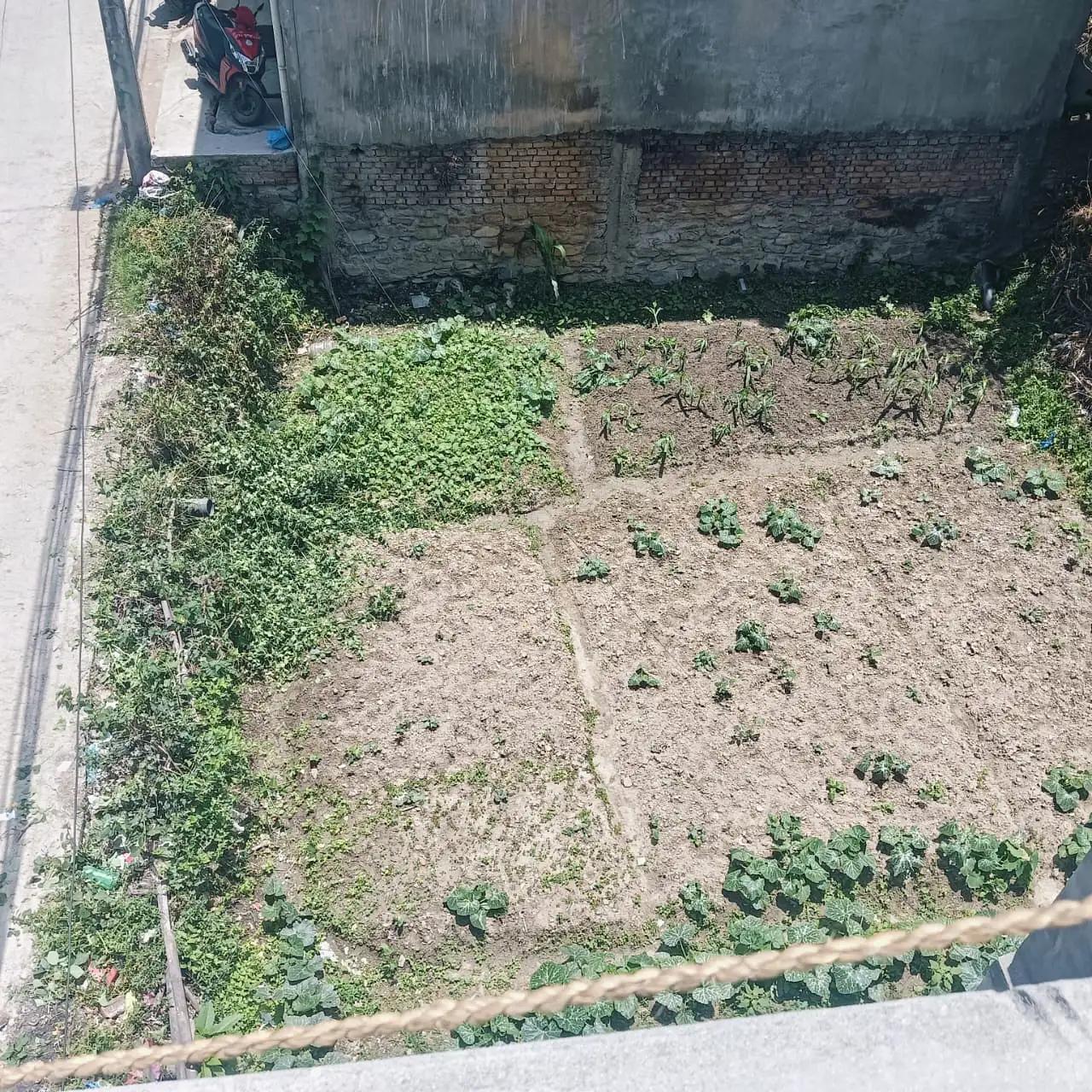 Photo of Land for sale in Manamaiju