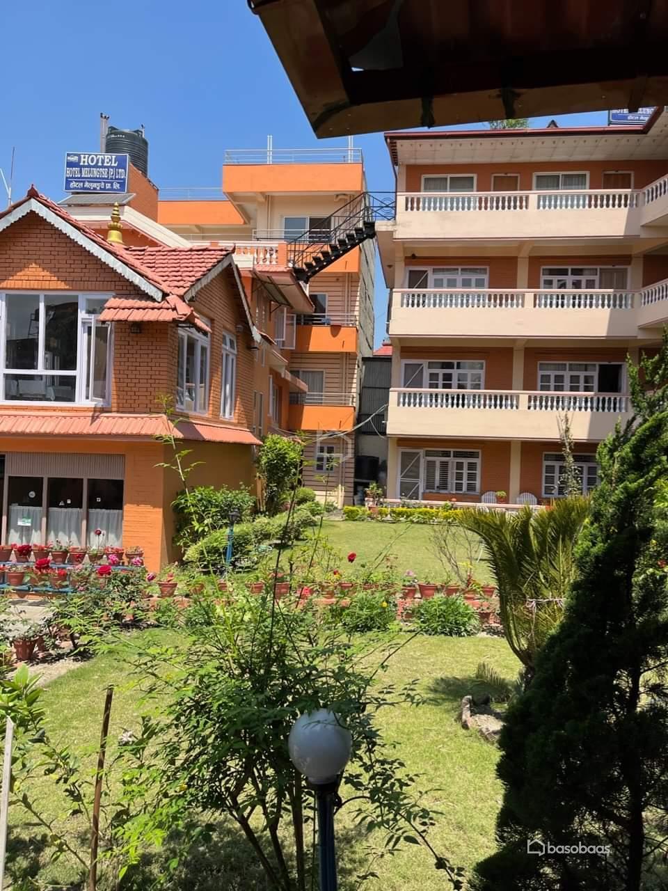 Photo of Residential apartment : Apartment for Rent in Chappal Karkhana, Kathmandu