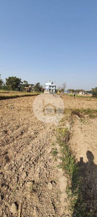 House for Sale in Pathari, Morang-image-4