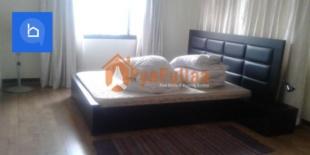 RENTED OUT : Apartment for Rent in Durbar Marg, Kathmandu-image-3