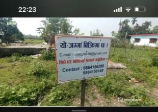 आलुको भाउमा जग्गा : Land for Sale in Bhadrapur, Jhapa-image-1