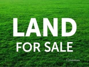 commercial land in lakeside pokhara : Land for Sale in Lakeside, Pokhara-image-2