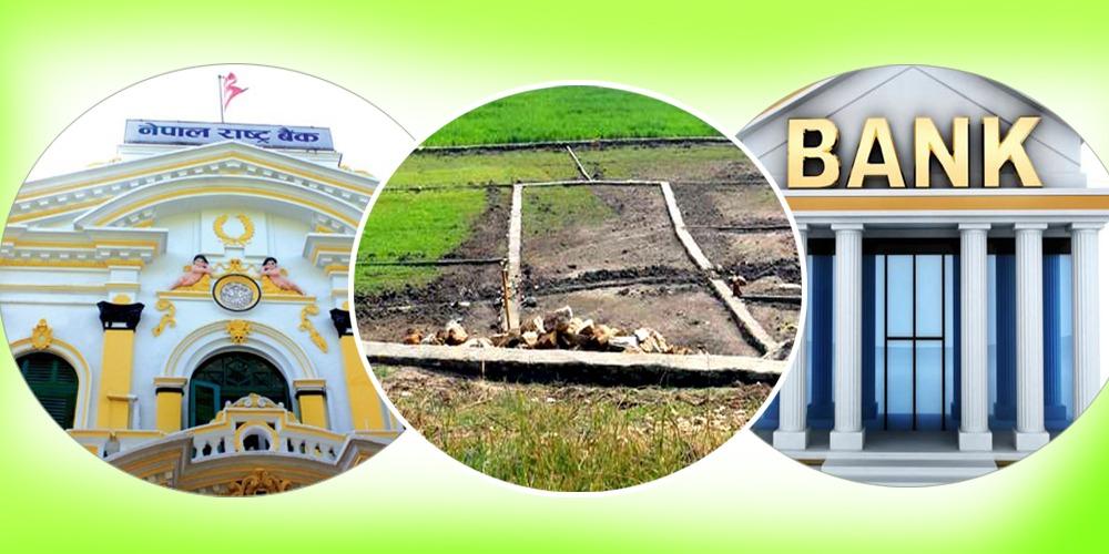 राष्ट्र बैंकको महँगी सर्वेक्षणः एक वर्षमा घरजग्गाको मूल्य घट्ने आँकलन