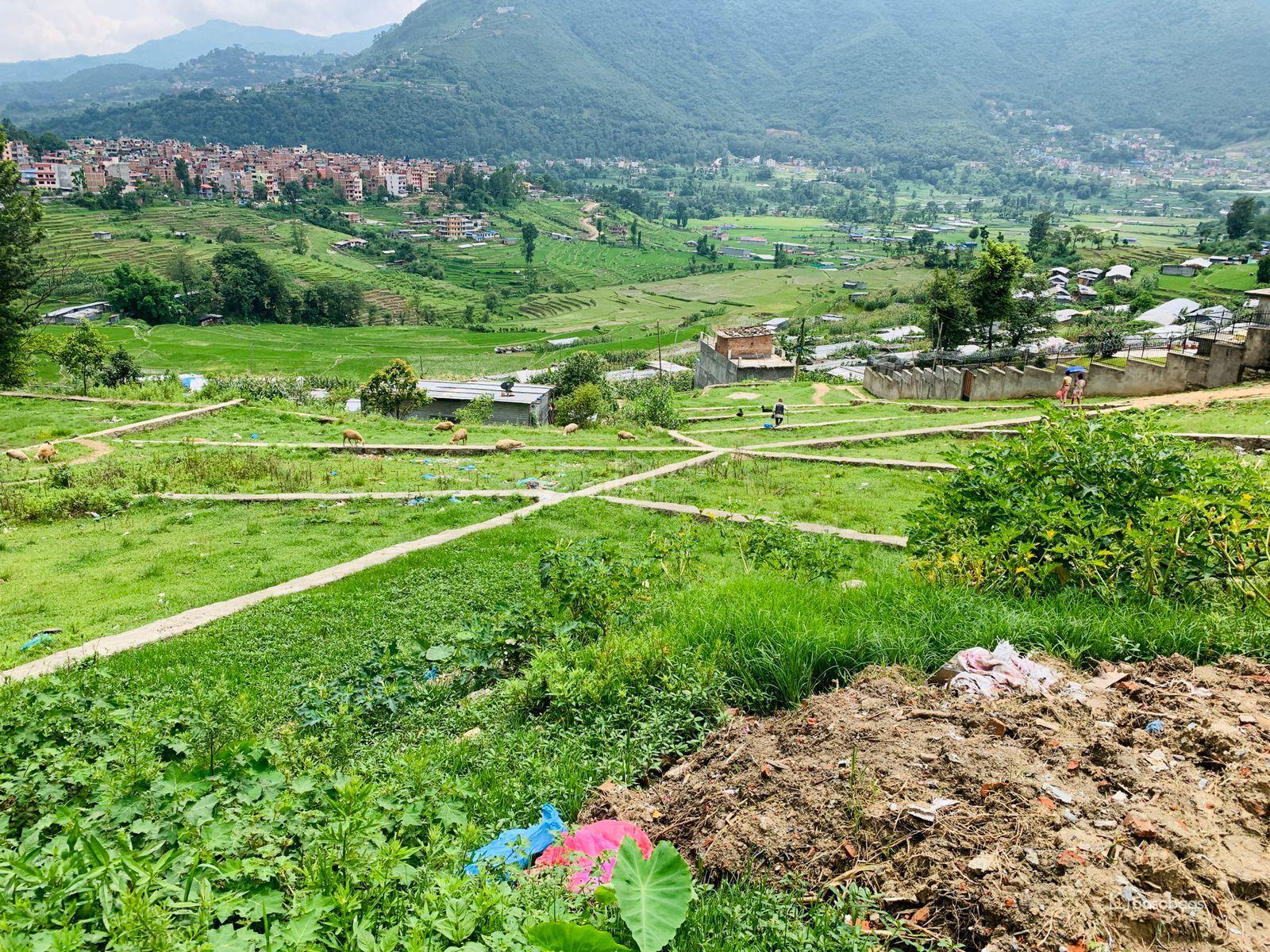 देशभर जग्गाको कित्ताकाट खुल्यो, साढे २ आनामै जग्गा कित्ताकाट गर्न पाइने