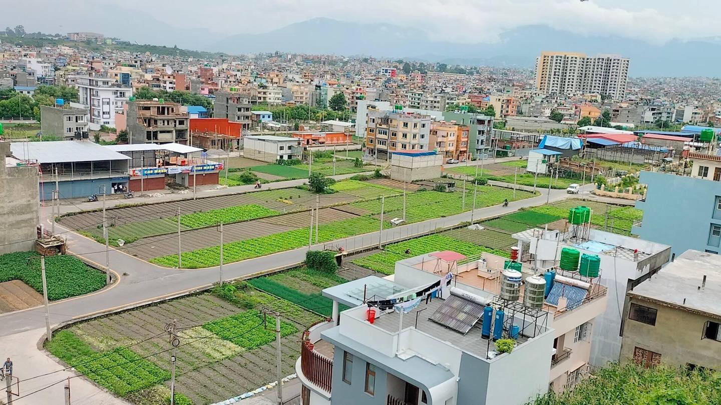 घरजग्गाको कारोबारमा उल्लेख्य वृद्धि, पुसमा मात्रै ४ अर्ब २५ राजस्व संकलन