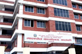 किर्तिपुरस्थि दुई रोपनी जग्गा नक्कली छोरालाई नामसारी