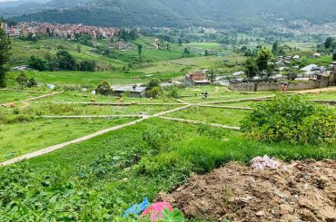 देशभर जग्गाको कित्ताकाट खुल्यो, साढे २ आनामै जग्गा कित्ताकाट गर्न पाइने