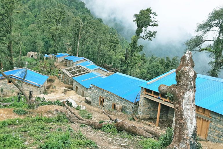 Illegal Forest Encroachment