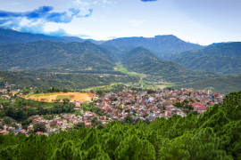 palpa