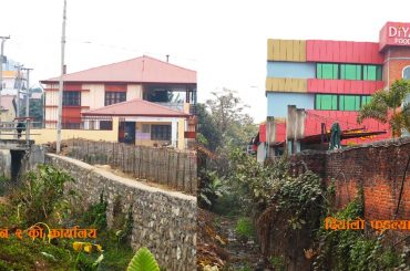 pungikhola