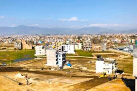 Property Transactions,