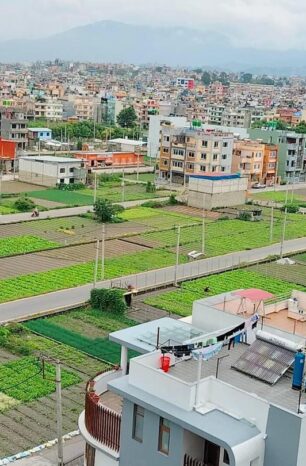 घरजग्गाको कारोबारमा उल्लेख्य वृद्धि, पुसमा मात्रै ४ अर्ब २५ राजस्व संकलन