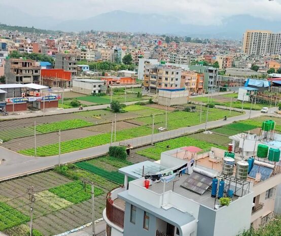 घरजग्गाको कारोबारमा उल्लेख्य वृद्धि, पुसमा मात्रै ४ अर्ब २५ राजस्व संकलन