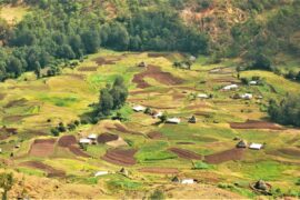 land transaction