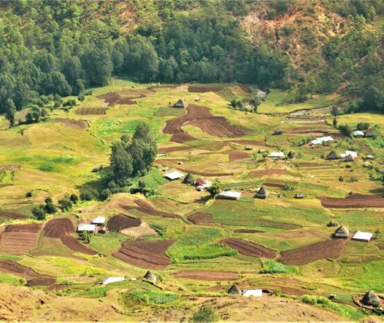 गत वर्ष घरजग्गा कारोबारमा देखिएको सुधारले निरन्तरता पाउला ?