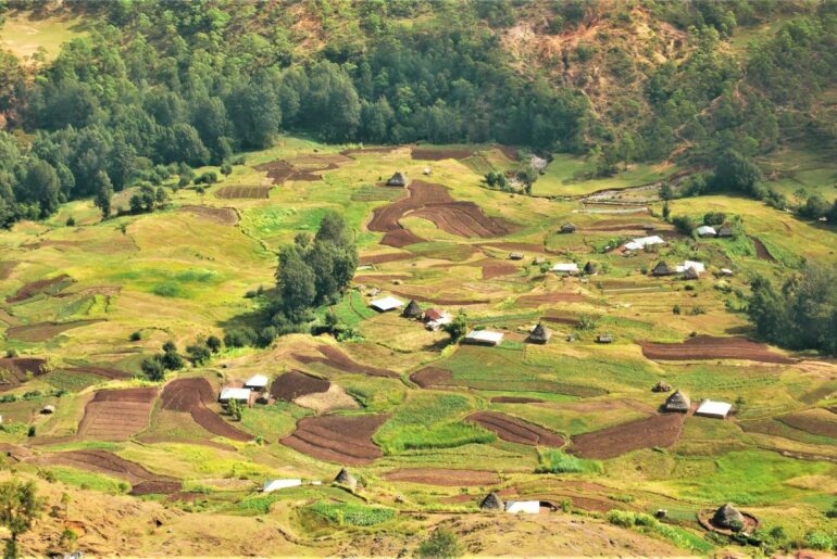 land transaction