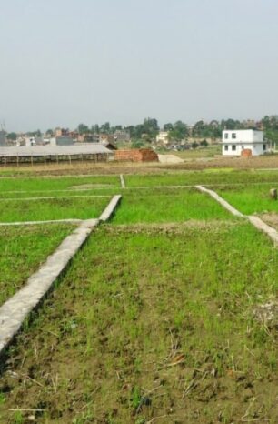 अब हदबन्दीभन्दा बढीको जग्गा किन्न र घर बनाएर बेच्न पाइने