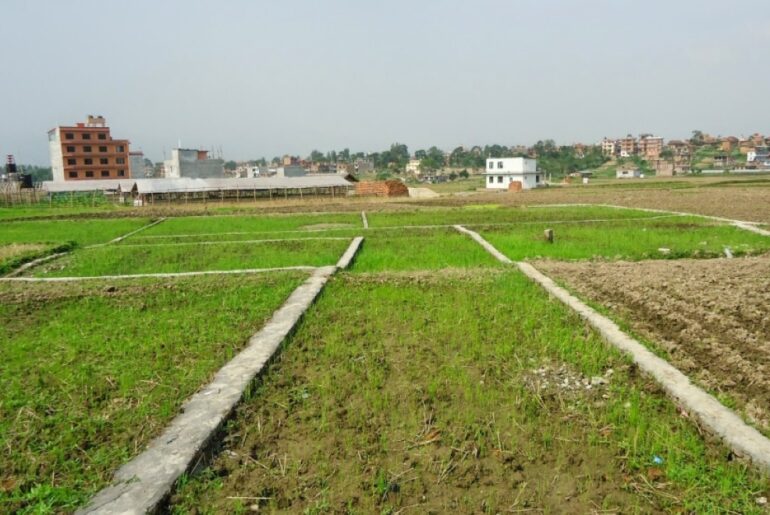 new land bil