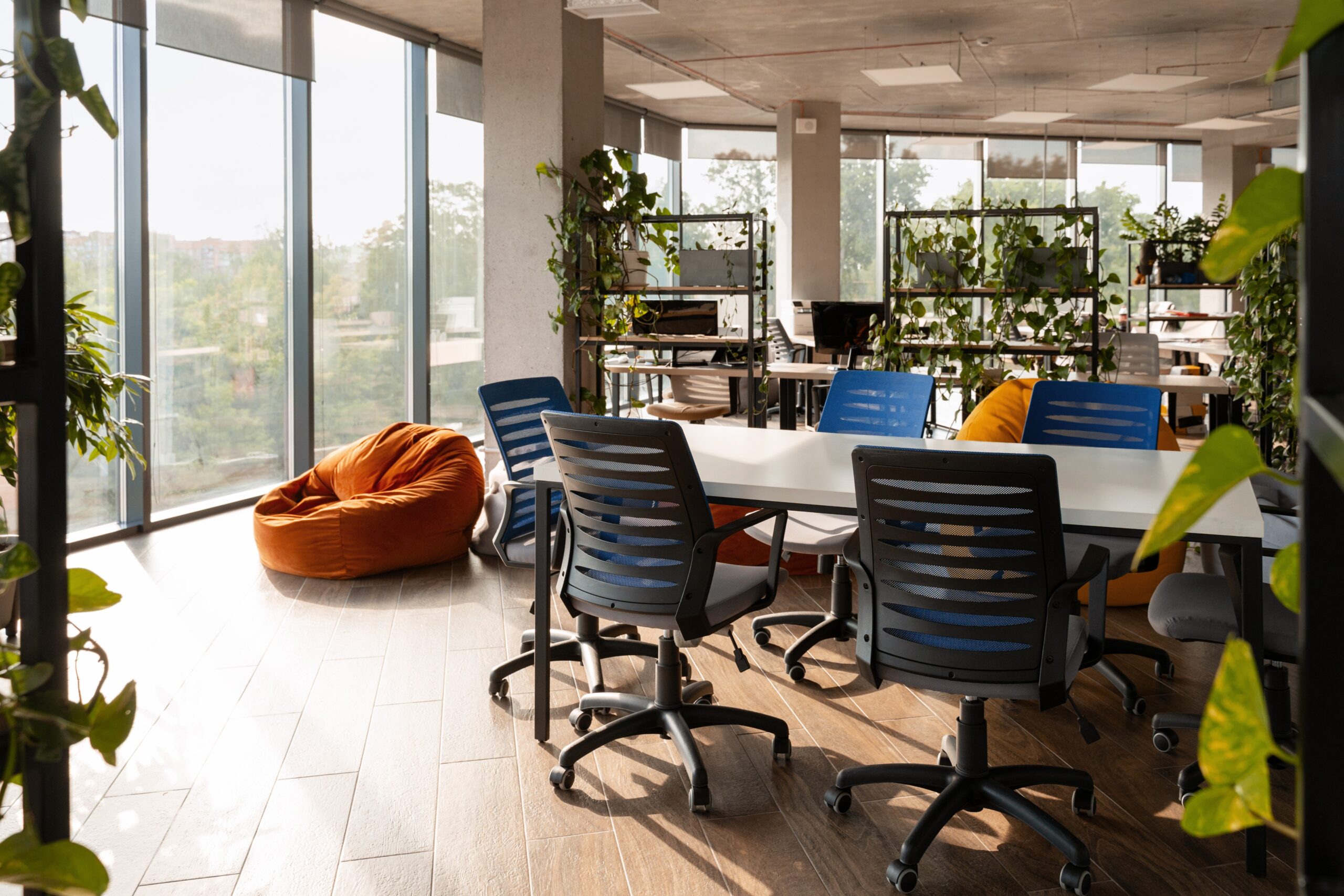 biofilic interior design